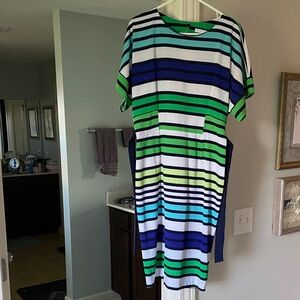 New York & Company Green and Black Striped Dress